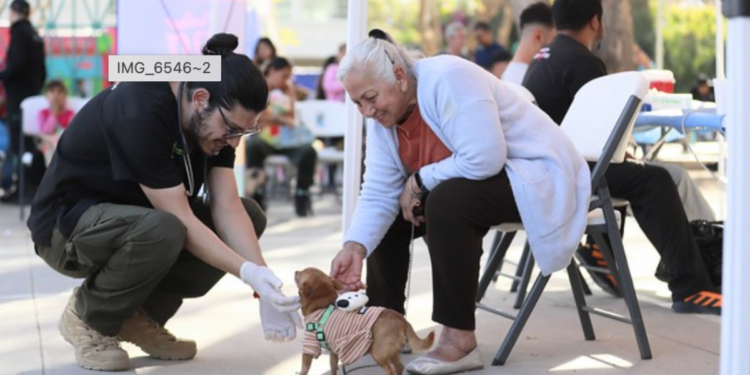 Zapopan lleva la Caravana de Salud Animal a Balcones del Sol