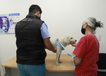 Protección Animal invita a la esterilización de mascotas a un bajo costo 
