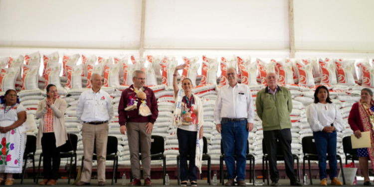 En Michoacán, Presidenta Claudia Sheinbaum encabeza entrega del Programa de Fertilizantes para el Bienestar, derecho de las y los campesinos