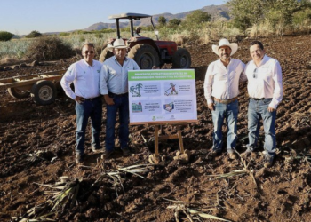 Inicia SADER Jalisco reconversión de cultivos para apoyar a productores de agave