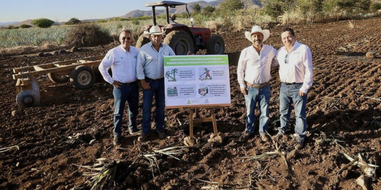 Inicia SADER Jalisco reconversión de cultivos para apoyar a productores de agave