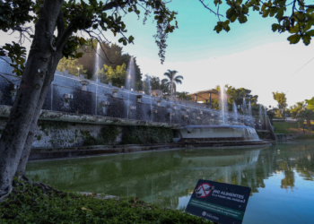 Presenta AMBU programa de manejo forestal ‘Bosques sin muérdago’