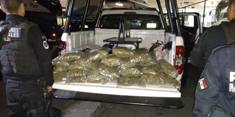 Detienen a Hombre con Tres Maletas de Marihuana en la Central Camionera de Tlaquepaque