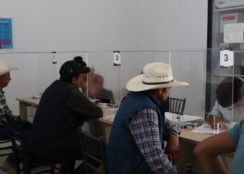 Abre ASICA ventanilla para acceder al Programa Estatal de Sanidad, Inocuidad y Calidad Agroalimentaria 2025