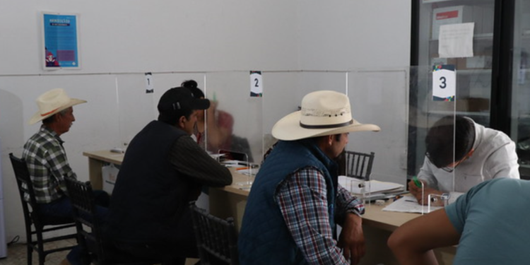 Abre ASICA ventanilla para acceder al Programa Estatal de Sanidad, Inocuidad y Calidad Agroalimentaria 2025