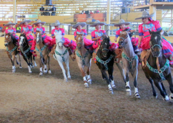 Éxito total, FICTlajo Electrolit 2025