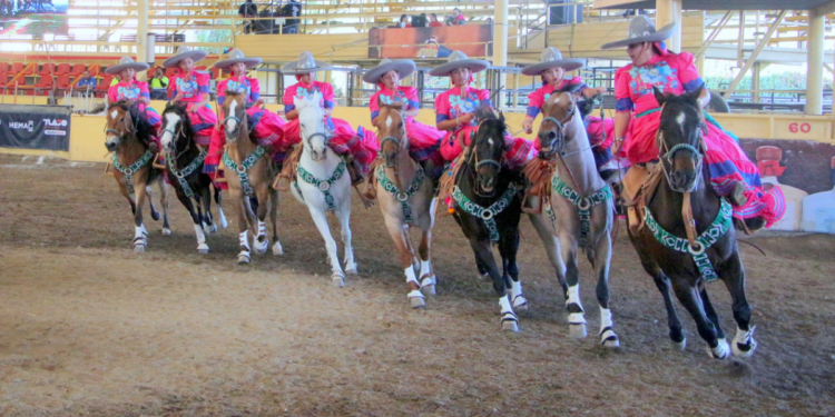 Éxito total, FICTlajo Electrolit 2025