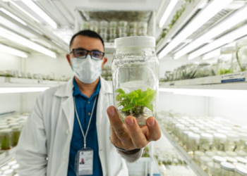 Impulsa SICyT protección de la Propiedad Intelectual con la convocatoria PROPIN 2025