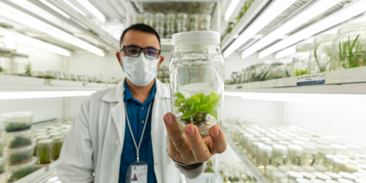 Impulsa SICyT protección de la Propiedad Intelectual con la convocatoria PROPIN 2025