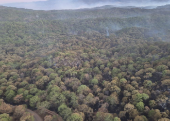 Realizan cierre temporal de ingresos al Área Natural Protegida Sierra de Quila por incendio forestal