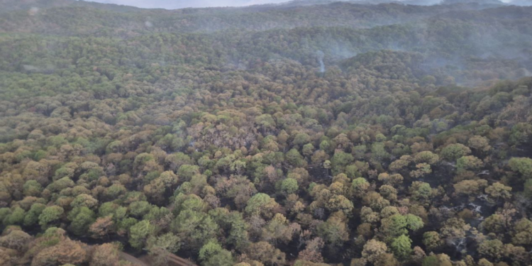 Realizan cierre temporal de ingresos al Área Natural Protegida Sierra de Quila por incendio forestal