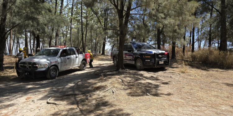 Incendio Forestal y presunto causante detenido