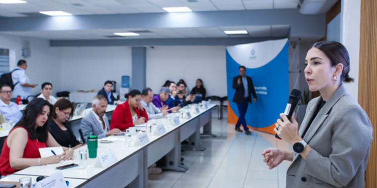 Concluye SEDECO sesiones de trabajo con seis sectores estratégicos en la dinámica económica del estado