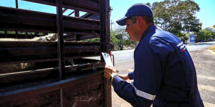 Promueve Gobierno de Jalisco campaña para oportuna detección del gusano barrenador del ganado