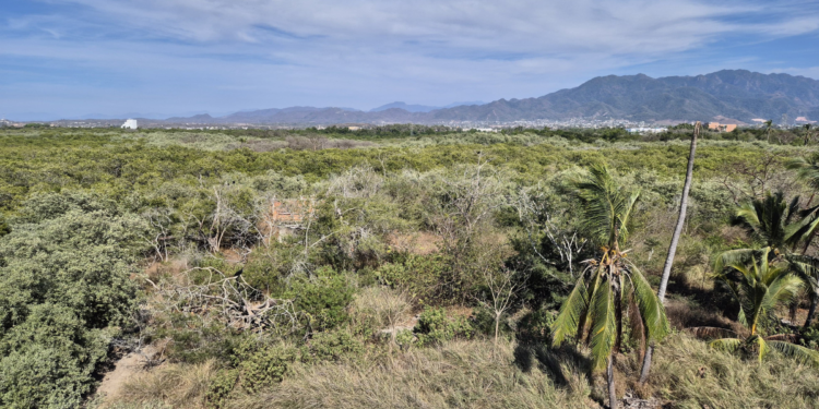 Designan equipo de especialistas para reactivación del Parque Estatal Estero El Salado, en Puerto Vallarta