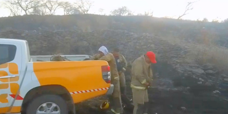 Brigada Forestal de Tlajomulco sofocó incendio en el cerro de Las Latillas