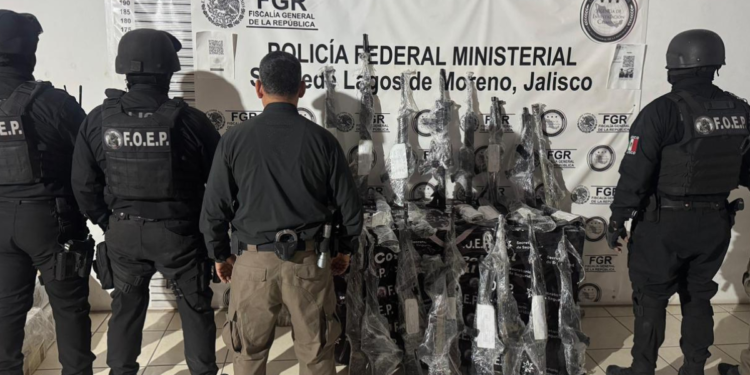 Desmantela FIR armería criminal en Villa Hidalgo
