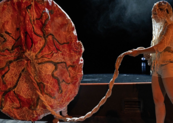 Arranca Secretaría de Cultura el programa “Jueves de Danza” en el Foro de Arte y Cultura