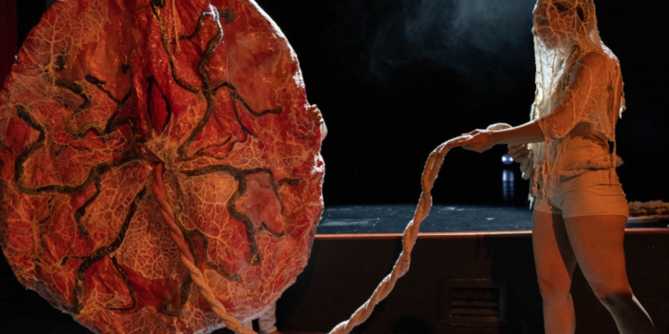 Arranca Secretaría de Cultura el programa “Jueves de Danza” en el Foro de Arte y Cultura