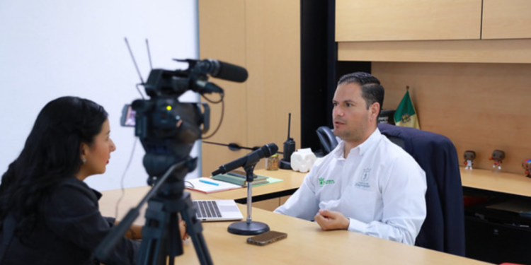 Gobierno de Zapopan prevé plantar 100 mil árboles este año