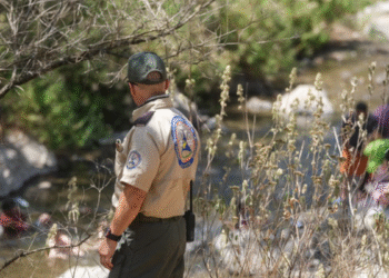 Registran más de 36 mil visitantes en el Bosque La Primavera durante Semana Santa