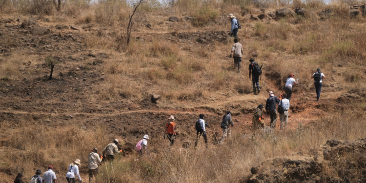 Realiza COBUPEJ operativo de búsqueda generalizada en inmediaciones del Cerro del Cuatro