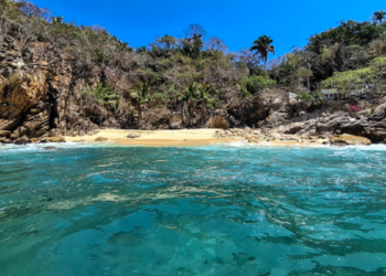 Busca Jalisco certificación Blue Flag para playas de Puerto Vallarta y Costa Alegre