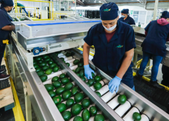 Crecen exportaciones de Jalisco 11.9 por ciento en 2024; registra 30 mil 425 millones de dólares en este periodo