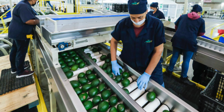 Crecen exportaciones de Jalisco 11.9 por ciento en 2024; registra 30 mil 425 millones de dólares en este periodo