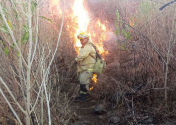 Bomberos y brigadistas de Tlajo extinguieron incendio en el Cerro de Totoltepec