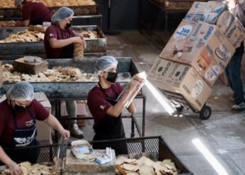 Tendrá FIMJA 61.5 millones de pesos para apoyos económicos