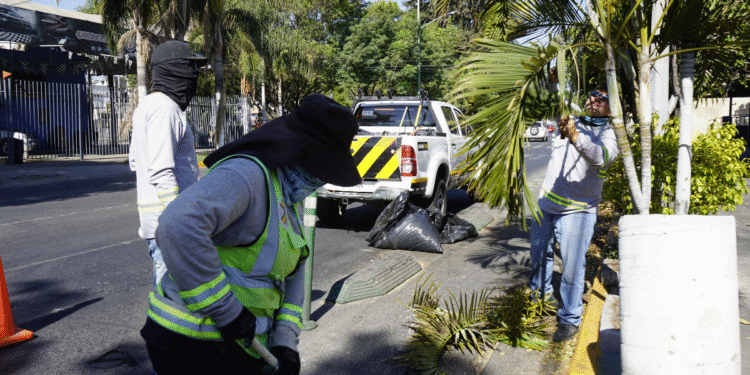 Refuerza AMIM limpieza de infraestructura ciclista