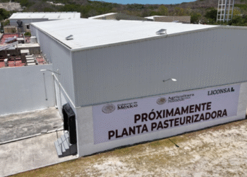 ¡Cumplimos! Aquí estamos para que la leche de Campeche se lleve a todo el país: Presidenta pone en marcha Leche para el Bienestar