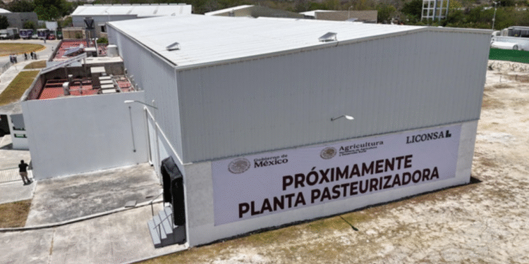 ¡Cumplimos! Aquí estamos para que la leche de Campeche se lleve a todo el país: Presidenta pone en marcha Leche para el Bienestar