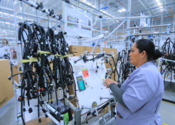 Mantiene Jalisco liderazgo con segundo lugar nacional en generación de empleo en primer trimestre de 2025