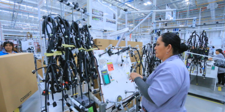 Mantiene Jalisco liderazgo con segundo lugar nacional en generación de empleo en primer trimestre de 2025