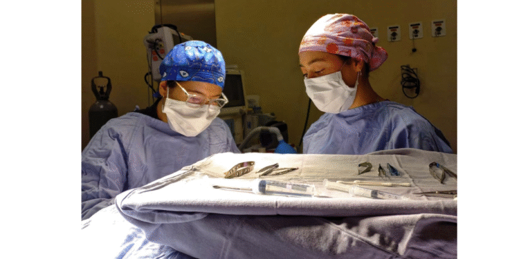 Impulsa Jalisco donación de órganos y tejidos para salvar vidas