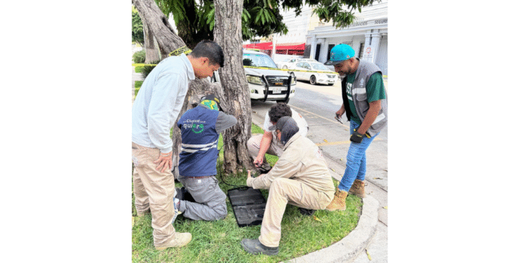 Apoya Gobierno de Tlajomulco en reubicación de nido de pájaros carpinteros en Guadalajara