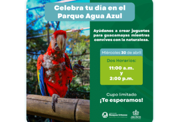 Invita AMBU a actividades por el Día del Niño y la Niña 2025