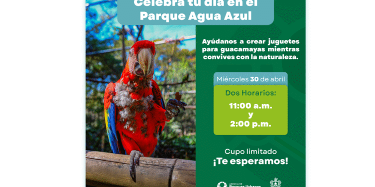 Invita AMBU a actividades por el Día del Niño y la Niña 2025