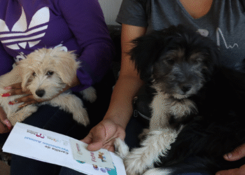 Gobierno de Tlaquepaque ofrece vacunas al 2 x 1 para lomitos