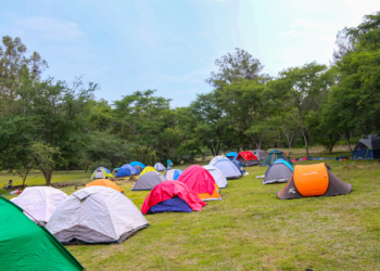 Invita AMBU a disfrutar de actividades ambientales en la temporada vacacional 