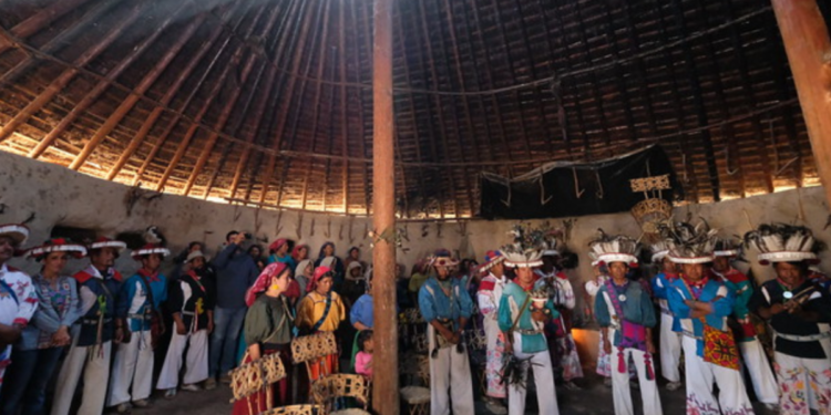 Acerca Brigada por Jalisco servicios y apoyos a comunidades wixaritari