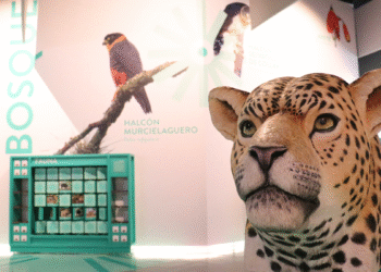 Invita el Museo JAPI a conocer su propuesta educativa que fusiona tecnología, cultura y tradición