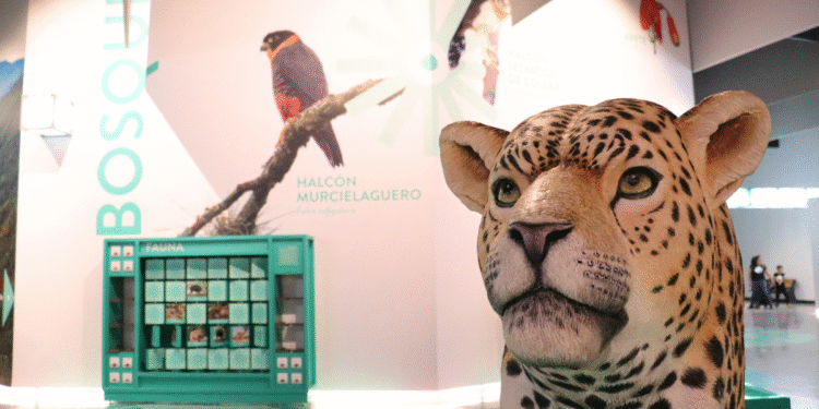 Invita el Museo JAPI a conocer su propuesta educativa que fusiona tecnología, cultura y tradición