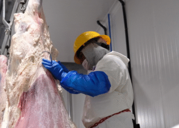 Reafirma Jalisco liderazgo en generación de empleo en el primer cuatrimestre de 2025 