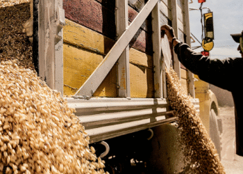 Aumenta en Jalisco Inversión Extranjera Directa (IED), en el primer trimestre del año