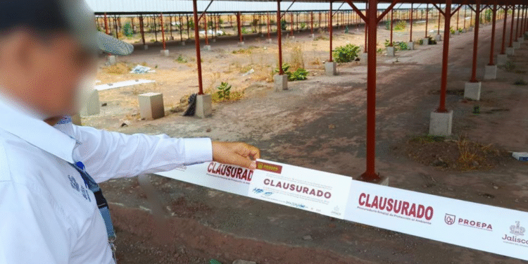 Clausura PROEPA construcción irregular de empresa láctea en Tototlán