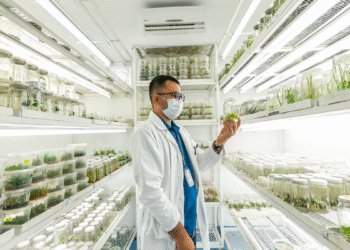 Abre SICyT convocatoria para el Premio Estatal de Innovación, Ciencia y Tecnología 2025