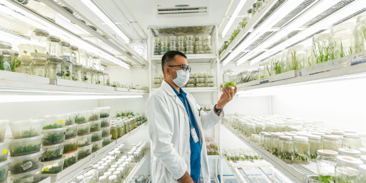 Abre SICyT convocatoria para el Premio Estatal de Innovación, Ciencia y Tecnología 2025